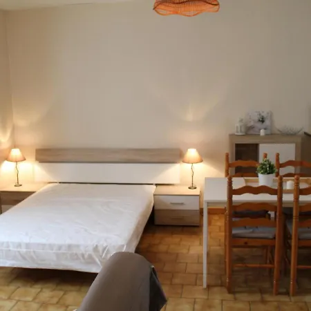 Apartamento Studio Lumineux Au Centre De Avec Wi-fi, Proche Des Thermes - Fr-1-541-59 *